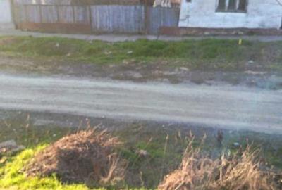 Casă cu 3 camere cu Teren 560 Mp în Zăbrani - 4