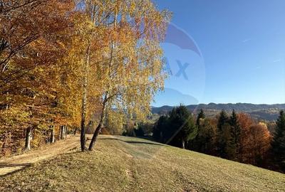 Oportunitate de investiție ! Teren de vis în Pestera - 125.370 mp - 30