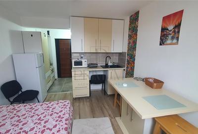 Garsonieră nedecomandată, mobilată în Lipovei - 2