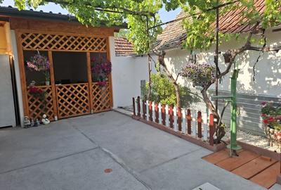 Casă individuală cu 3 camere cu Teren 852 Mp în Nădlac - 12