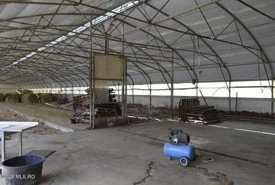 Bogati - Glimbocel, Ferma Zootehnica, Cladiri 1996 mp, Teren 4.89 ha - 3