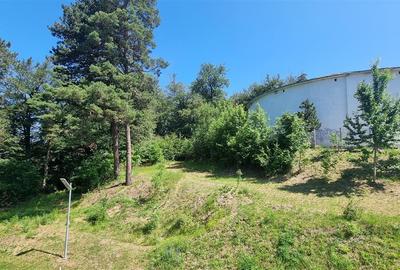 Apartament modern de 3 camere zona Drumul Poienii - 20