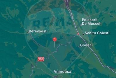 Oferta de Teren extravilan 8,043mp Berevoesti - 1