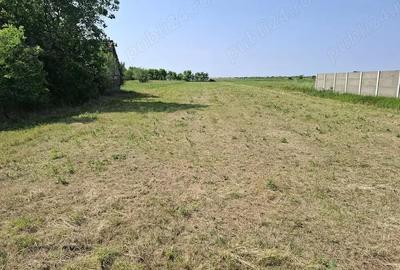 Teren de 3007 mp, în Cenei - 1