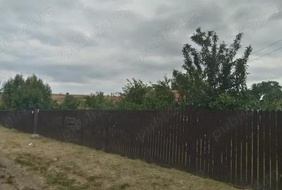 Casă cu 3 camere în Podu Turcului - 1