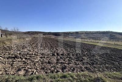 Teren de 5800 mp, în Dej - 2