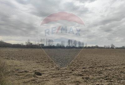 Teren de 11900 mp, în Fârdea - 4