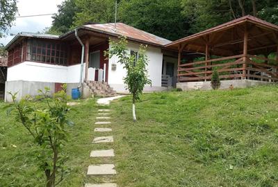 Vand Casa la munte - 2