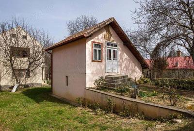 De vanzare, casa cu curte si gradina in Com. Viperesti, Jud. Buzau, la DN10 - 10