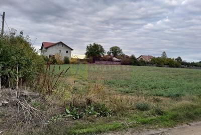 COSERENI( il ) - TEREN  2K MP DE VANZARE (52 M DESCHIDERE LA E85 ) - 5