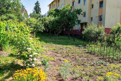 Casă cu Teren 17 Mp în Central - 6