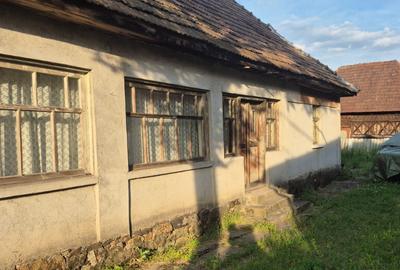 Bargau, casa 30 ari teren - 8