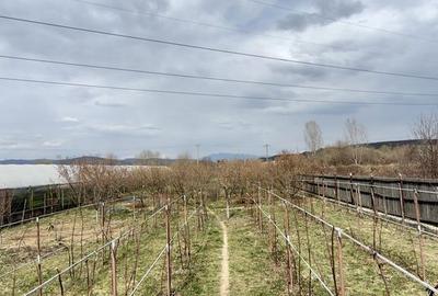 Casă cu 4 camere în Dângești - 5