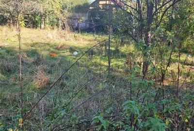 Teren intravilan 1781 mp în Băile Olănești – zonă turistică - 3