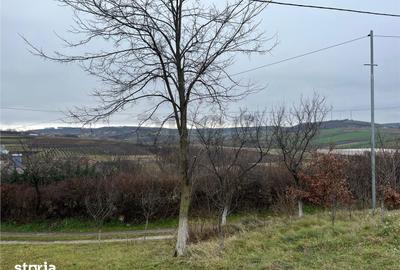 Teren de 500 mp, în Hidiș - 6
