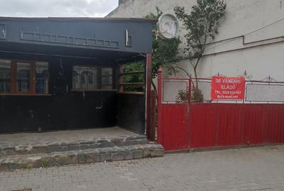 De vanzare spatiu comercial (casa particulara) Sfantu Gheorghe - 2