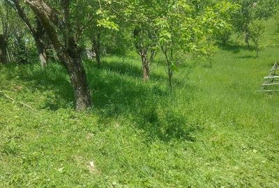 Teren de 7200 mp, în Secăria - 2