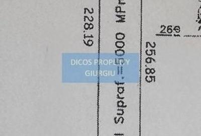 Teren agricol extravilan de 5000 mp, în Vest - 1