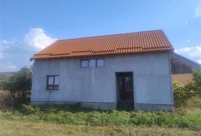 Casă individuală cu 4 camere cu Teren 3251 Mp în Sadova Veche - 2