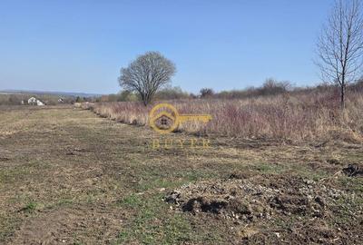 Spațiu comercial, în Daia - 4