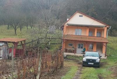 Casa de vanzare Casa de vanzare - 2