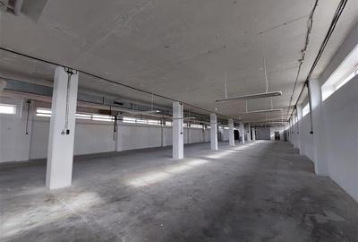 Spatiu multifunctional, P+E, Micalaca - 5