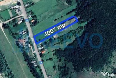 Teren de 4007 mp, în Boșoteni - 2