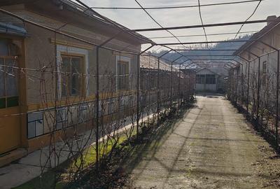 Casa com Hotarele