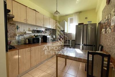 Casa Freidorf Timisoara - 4
