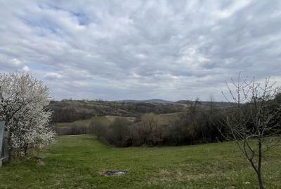 Teren de 5000 mp, în Copăcel - 3