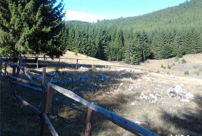 Teren de 1000 mp, în Curtea de Argeș - 3