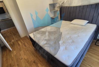 Apartament cu 2 camere semidecomandat, mobilat în Tineretului - 10