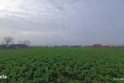 Teren de 3802 mp, în Dăeni - 5