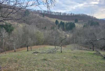 Casă cu 2 camere în Hălmagiu - 3