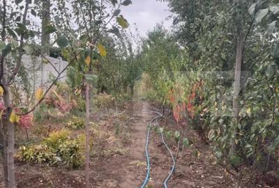 Casă cu 5 camere cu Teren 790 Mp în Bariera Vâlcii - 7