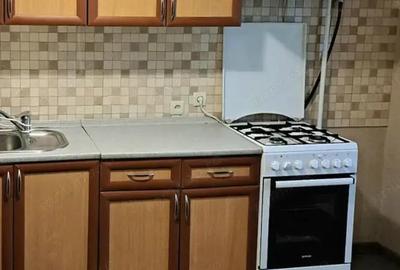 Apartament cu o camera de inchiriat in zona Elisabetin - 1