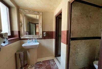 OPORTUNITATE INVESTITIE: Pensiune hotel Peris - 9