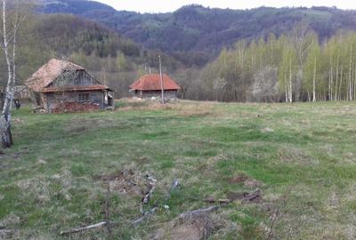 Spațiu comercial, în Chinteni - 7