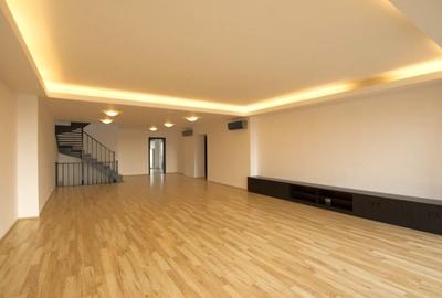 Penthouse 5 camere Herastrau North Area Lake Wiew - 1