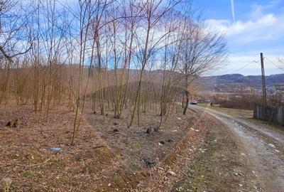 Teren de 2714 mp, în Căzănești - 4