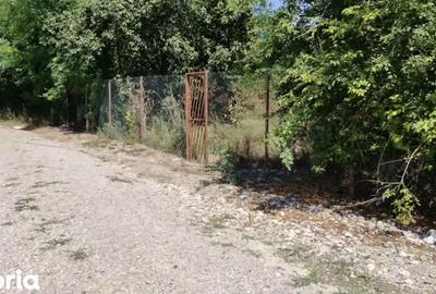 Teren de 26615 mp, în Conțești - 1