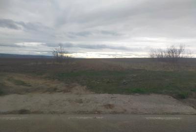 Teren de 5000 mp, în Central - 3