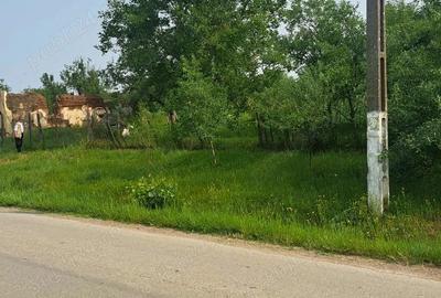 Teren de 2889 mp, în Bencecu de Jos - 5