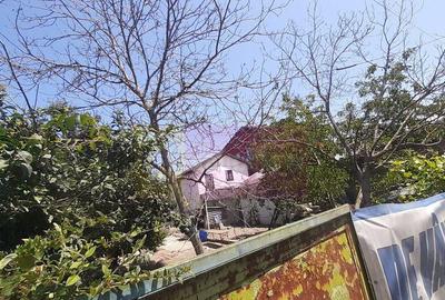 Teren foarte bun pentru construc?ie casa in Voluntari - 11