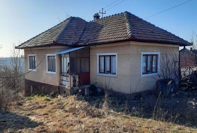 Spațiu comercial, în Feleacu - 5