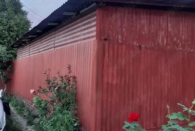 Inchiriere HALA metalica Timi?oara - 5