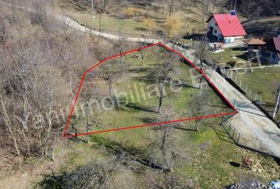 Teren de 1576 mp, în Borovinești - 9