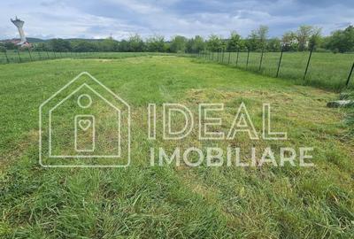 Teren Construcții intravilan de 3100 mp, în Cristian - 1