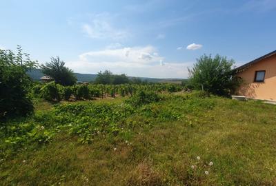 Casa  moderna mobilata cu beci 165mp +3000mp teren Cotnari - 33