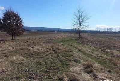 Teren de 9000 mp, în Copăcelu - 4